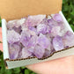 Amethyst Points Crystal Collection