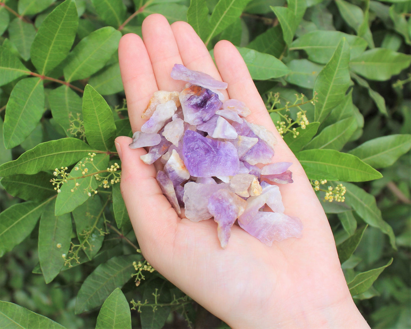 Amethyst Rough Natural Crystal Chips