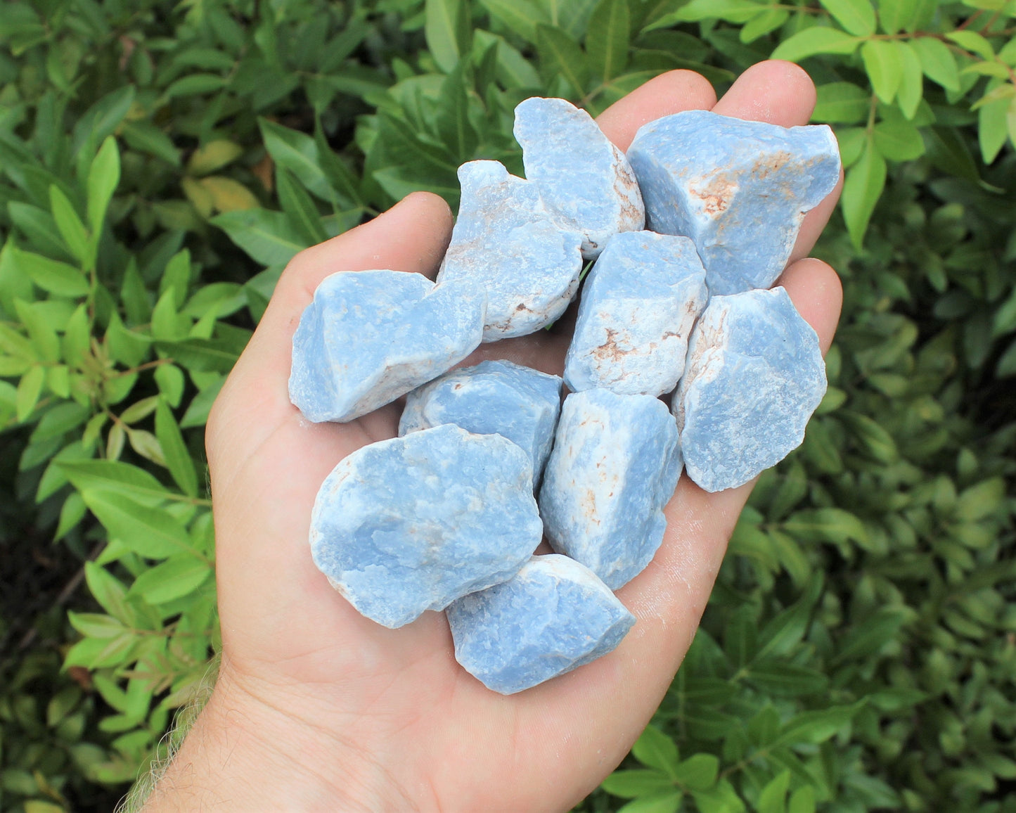 Angelite Raw Natural Stones