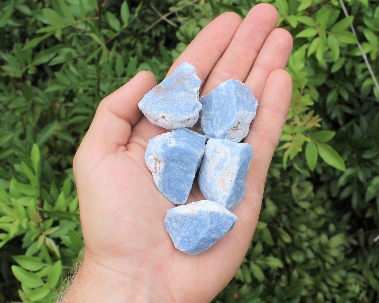 Angelite Raw Natural Stones