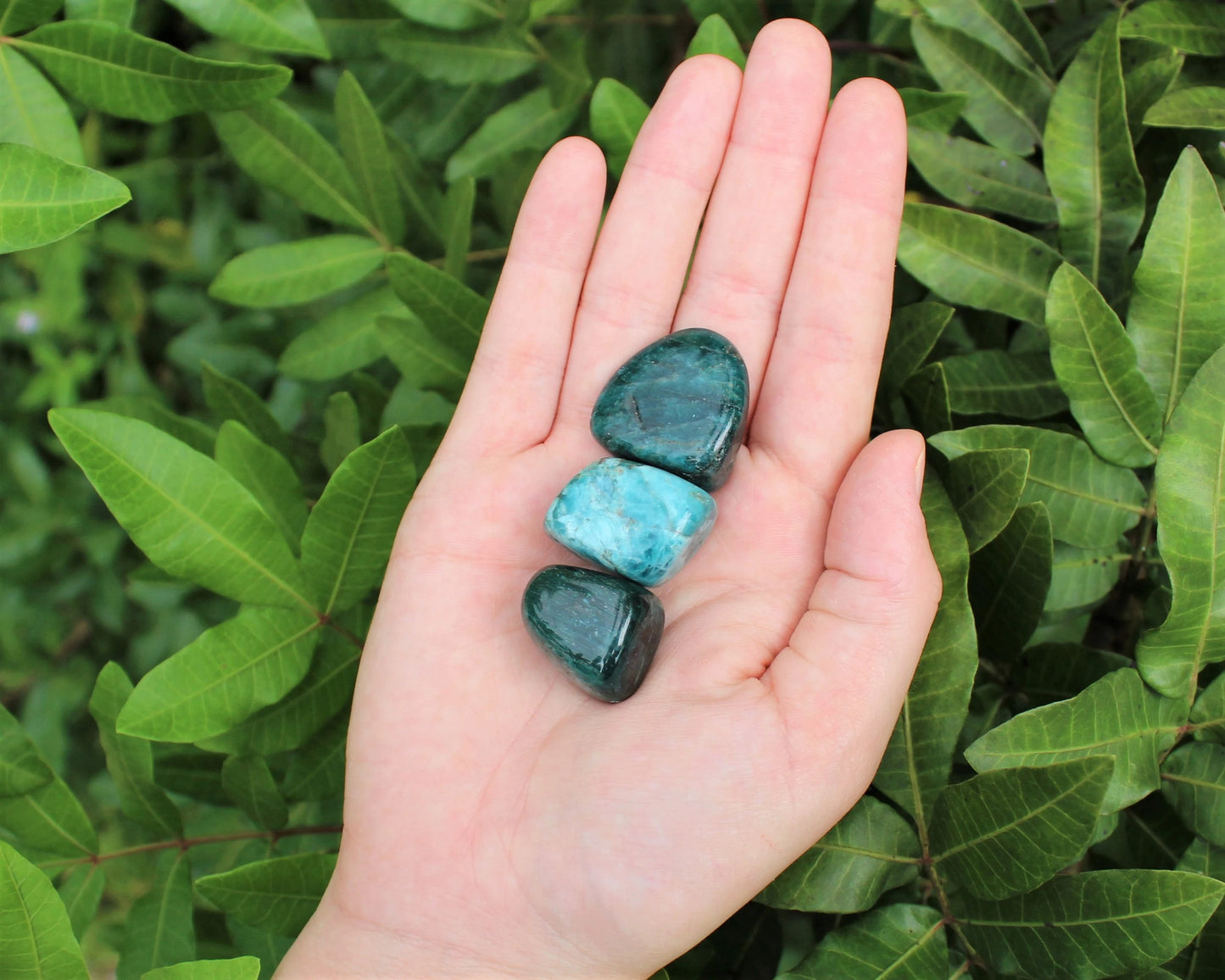 Apatite Tumbled Stone