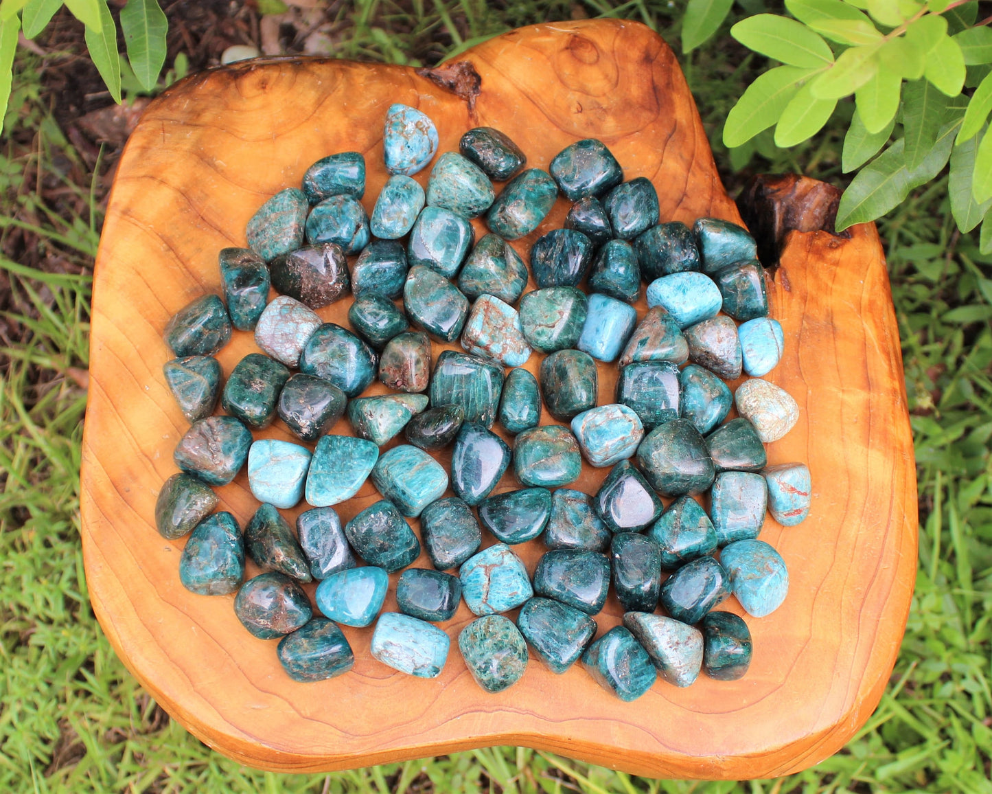 Apatite Tumbled Stones