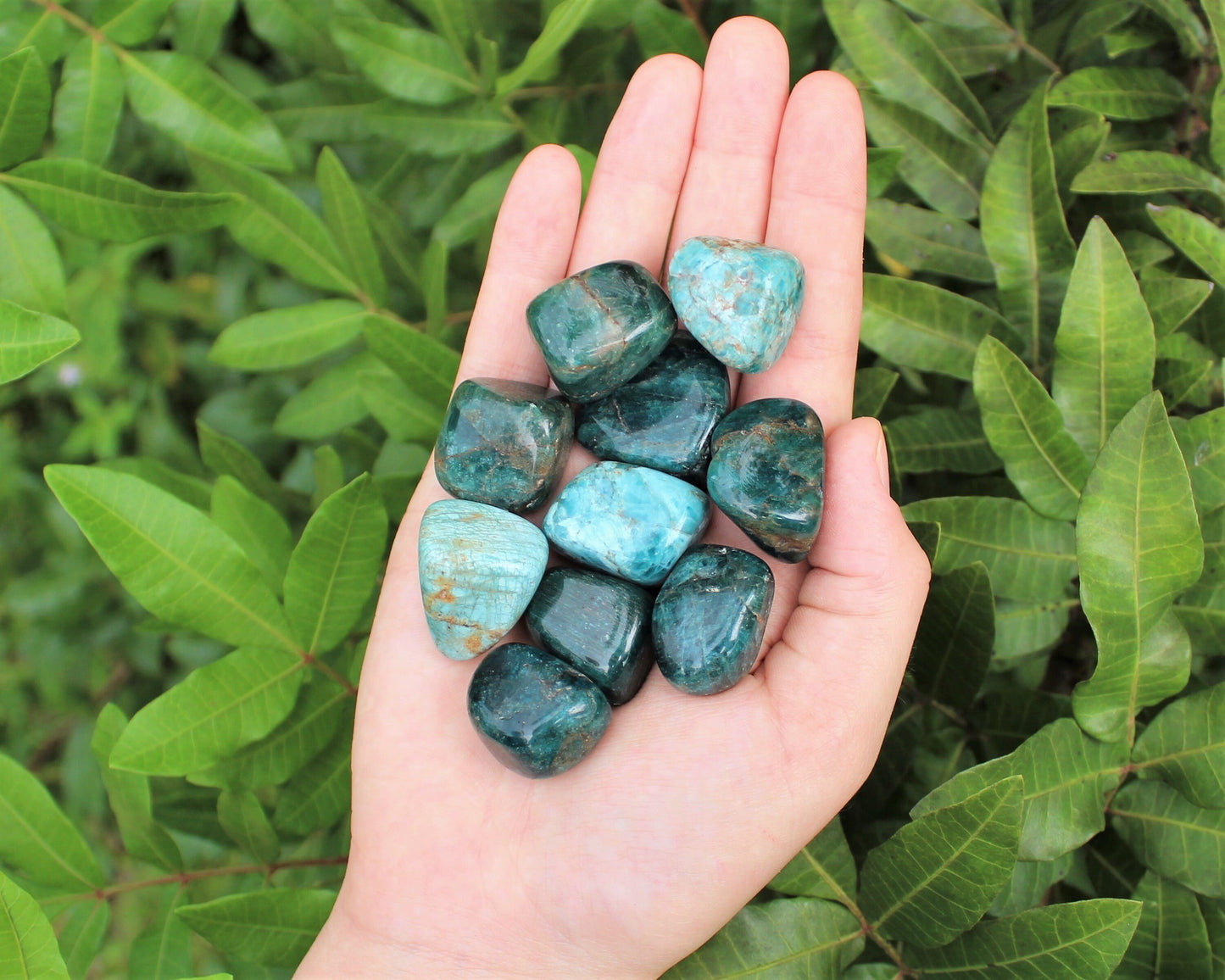 Apatite Tumbled Stones