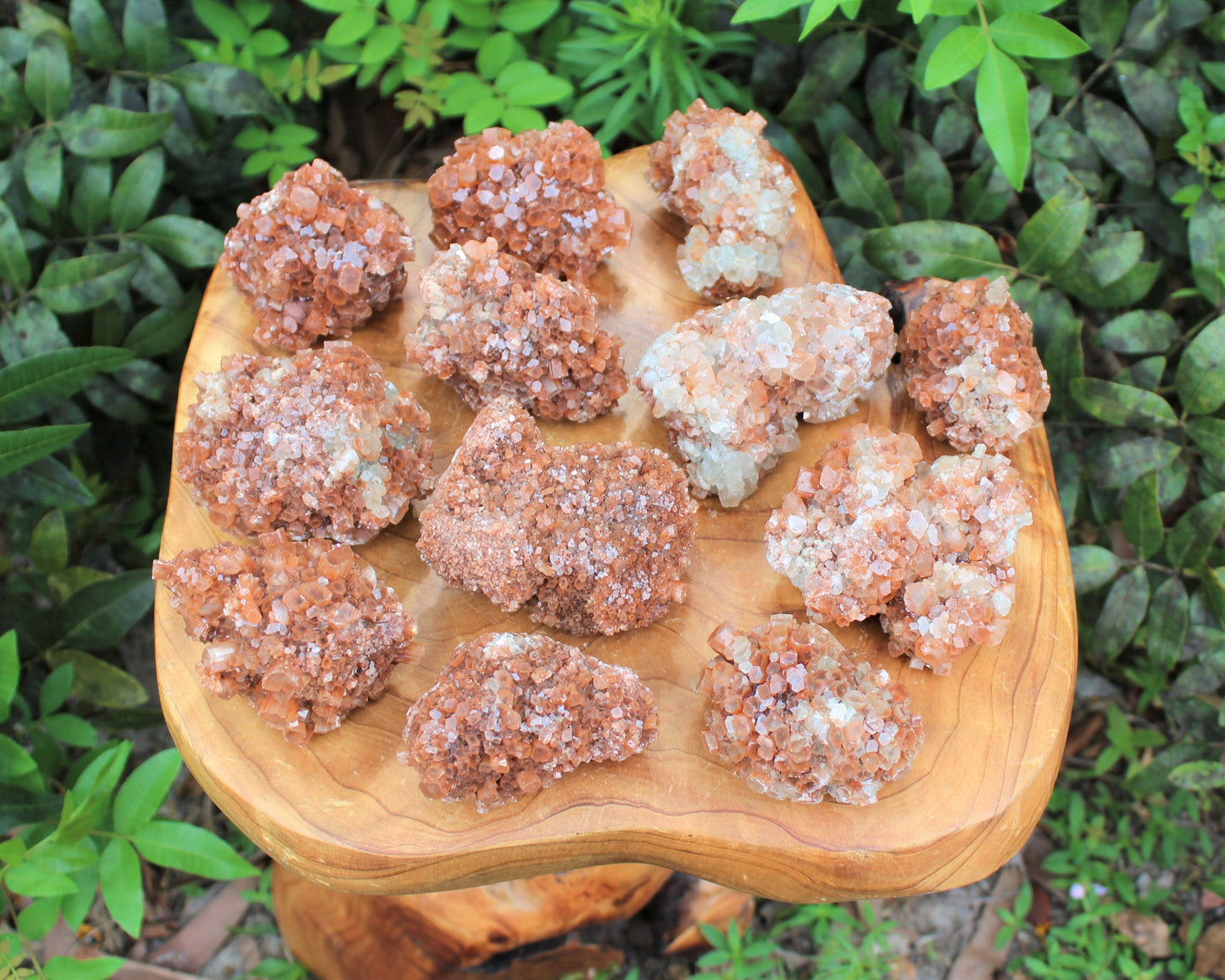 Aragonite Clusters From Morocco