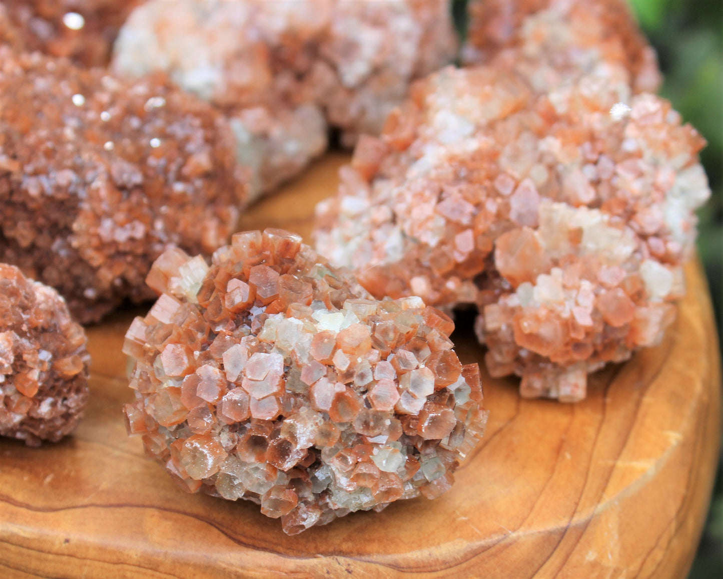Aragonite Clusters From Morocco
