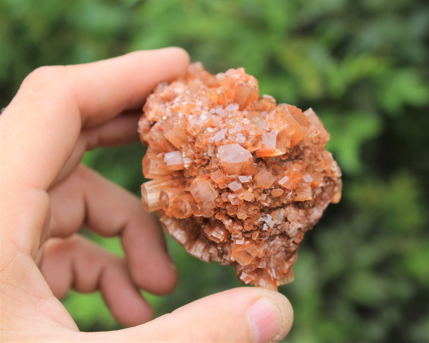 Aragonite Clusters From Morocco