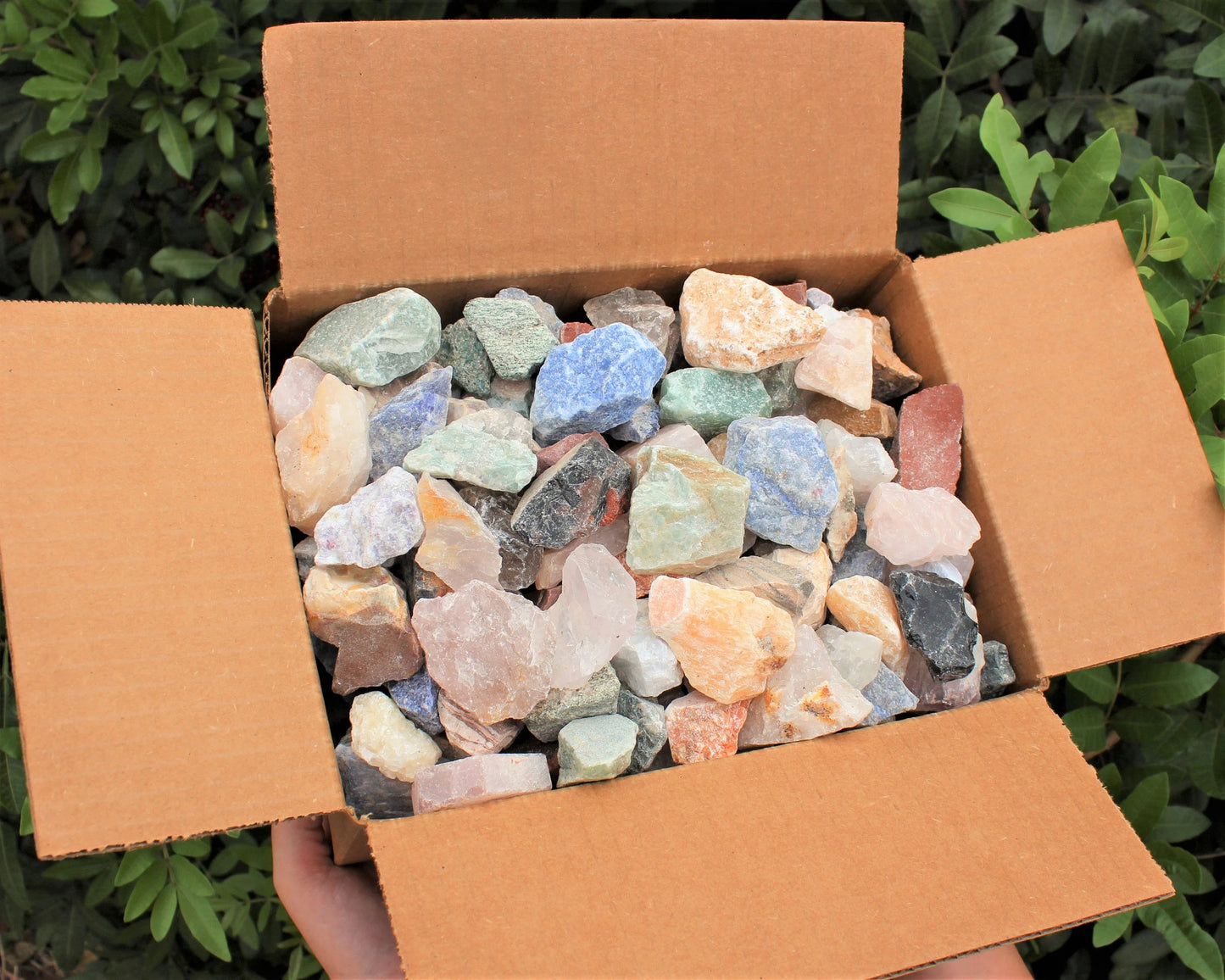 Assorted Natural Rough Crystals Box