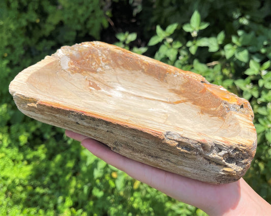 Authentic Indonesian Petrified Wood Bowl