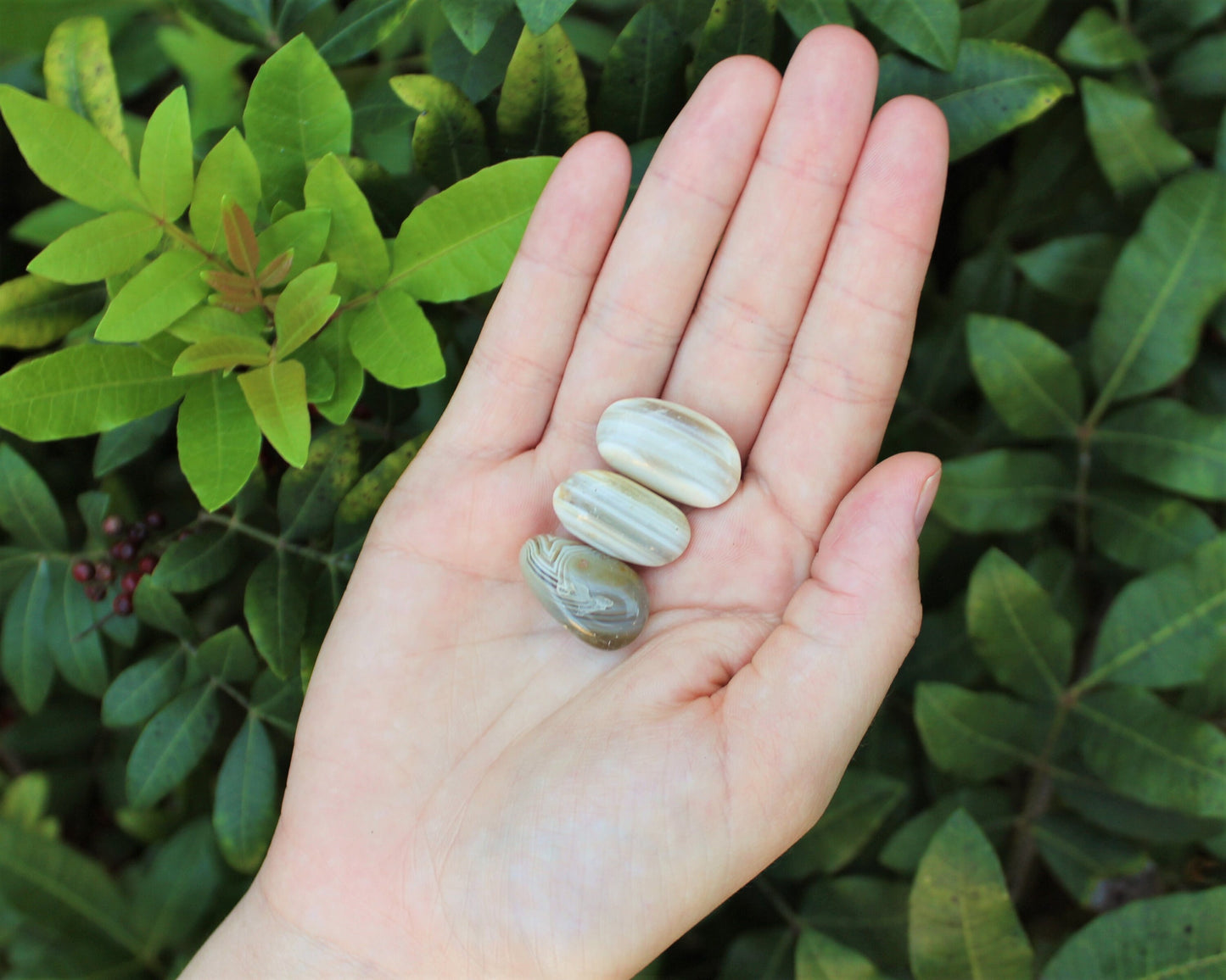 Banded Agate Tumbled Stones