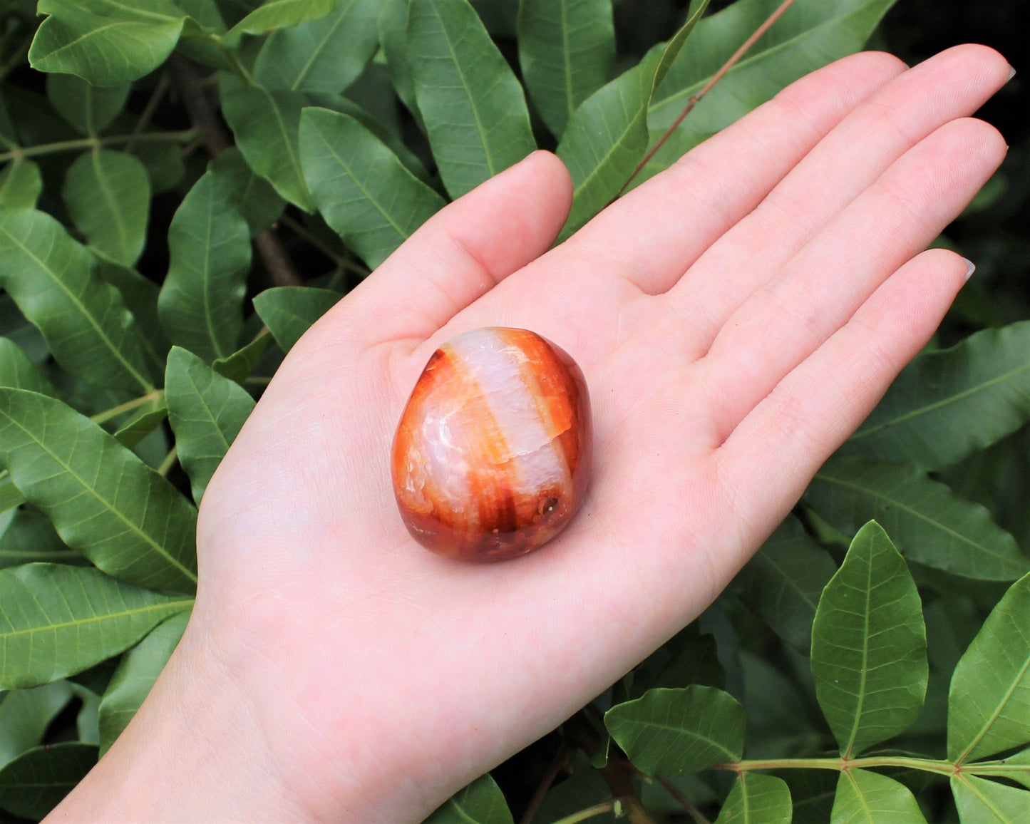 Banded Carnelian Polished Stones