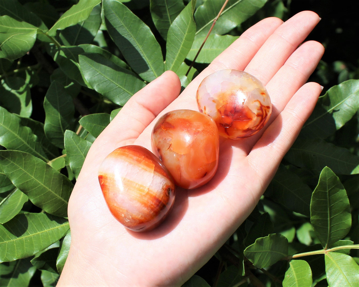 Banded Carnelian Polished Stones