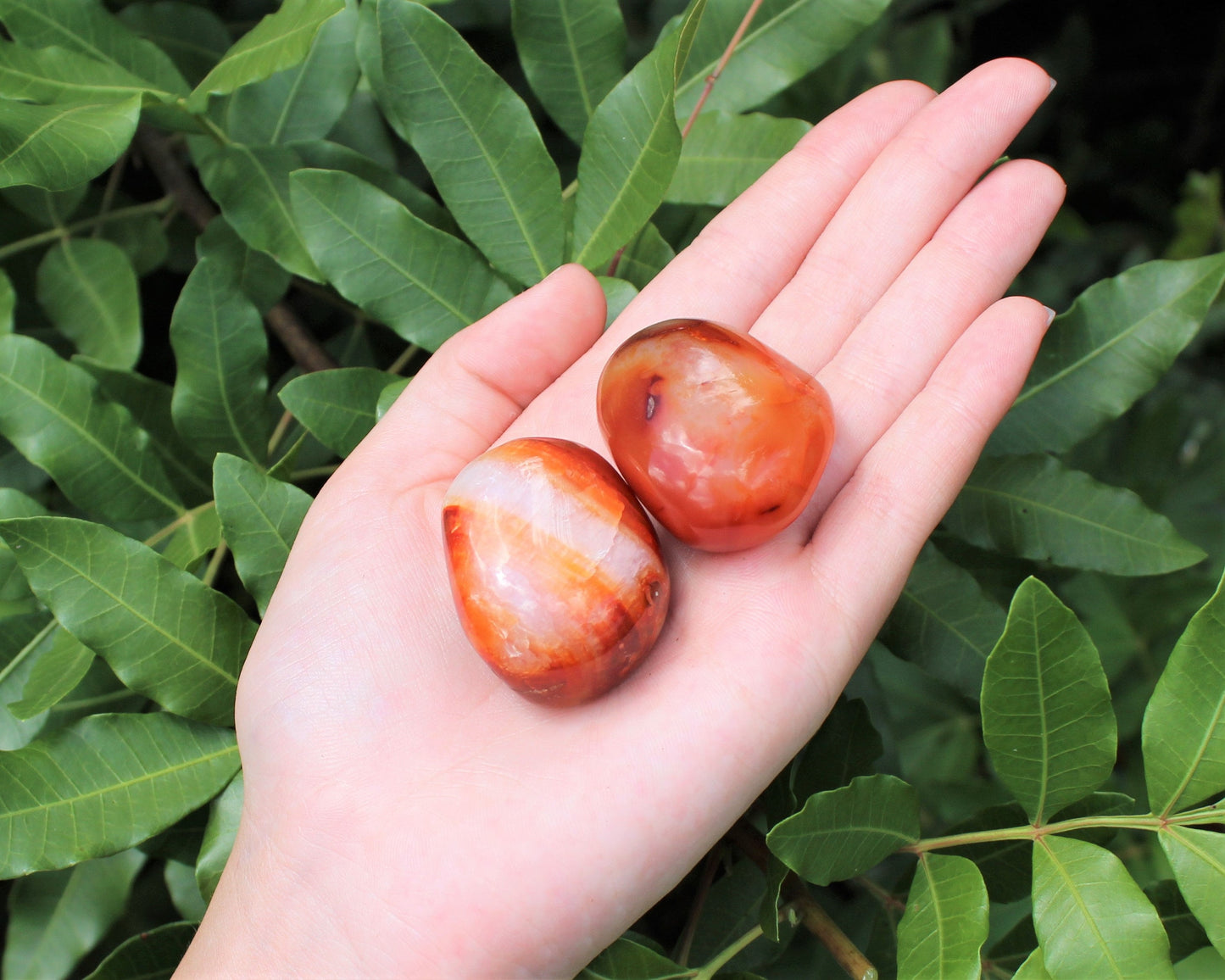 Banded Carnelian Polished Stones