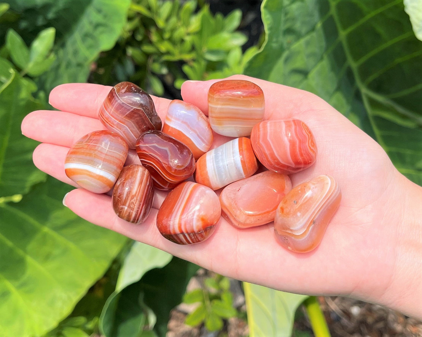 Banded Carnelian Tumbled Stones