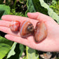 Banded Carnelian Tumbled Stones