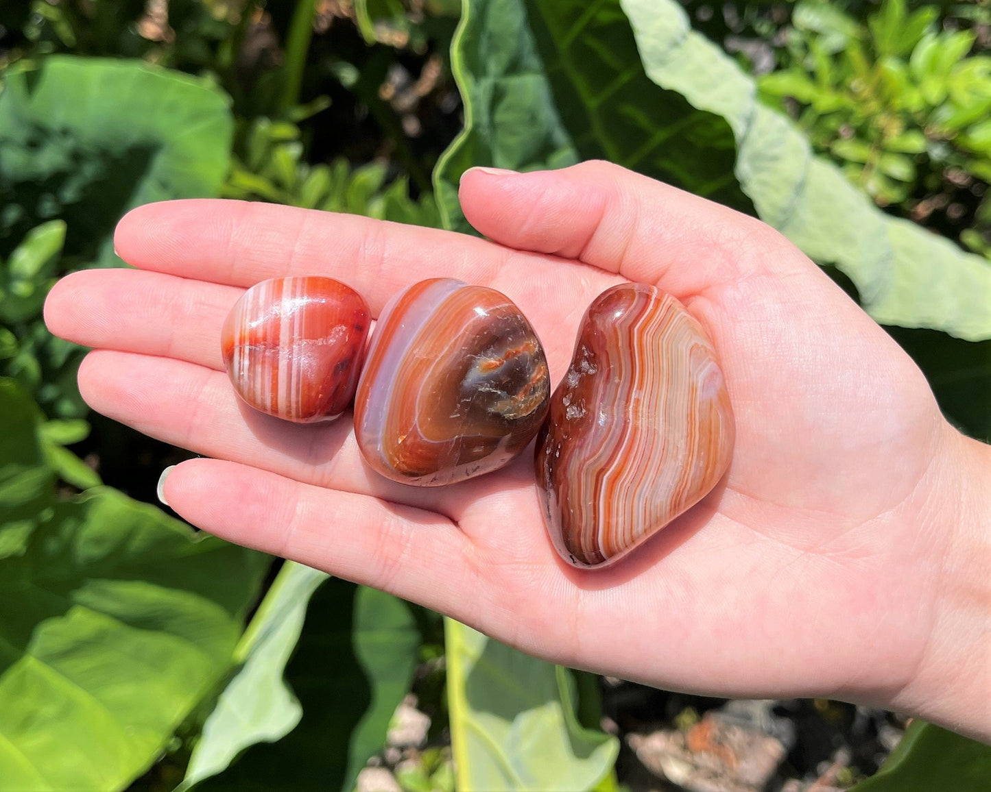 Banded Carnelian Tumbled Stones