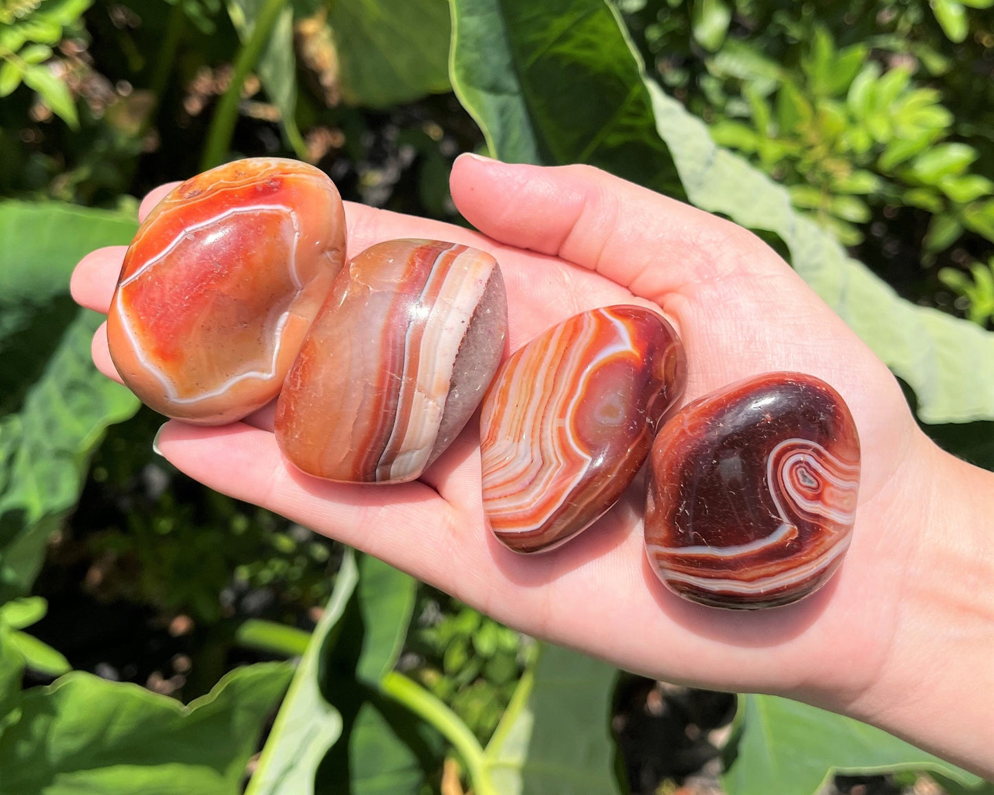 Banded Carnelian Tumbled Stones