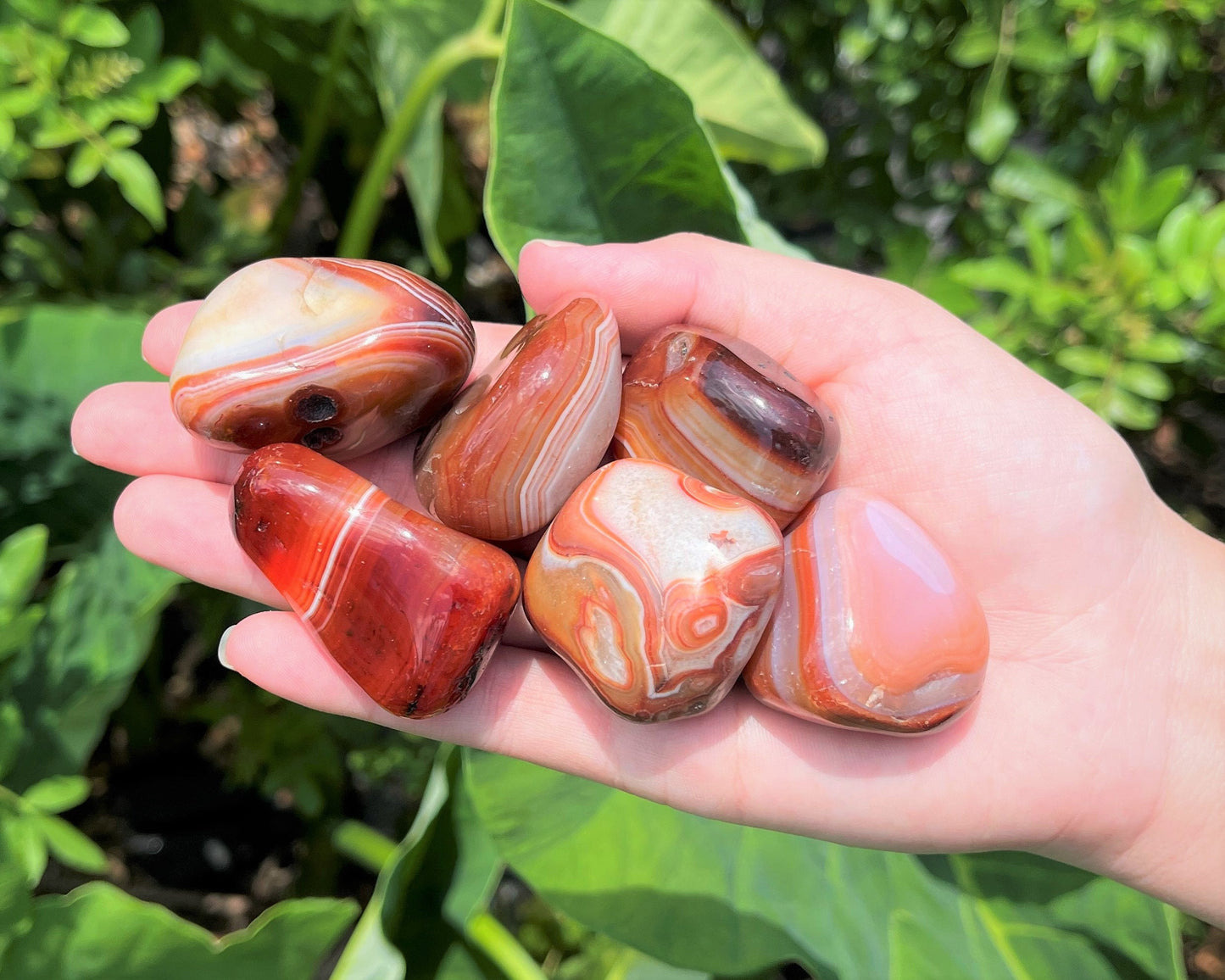 Banded Carnelian Tumbled Stones