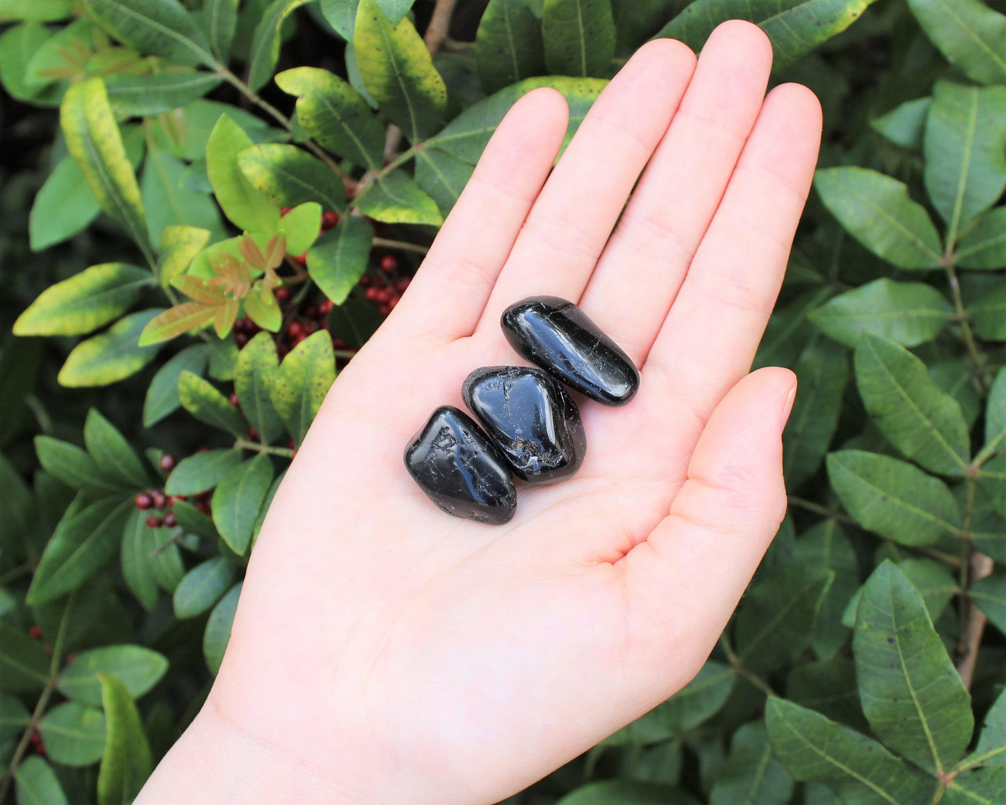 Tourmaline Tumbled Stones