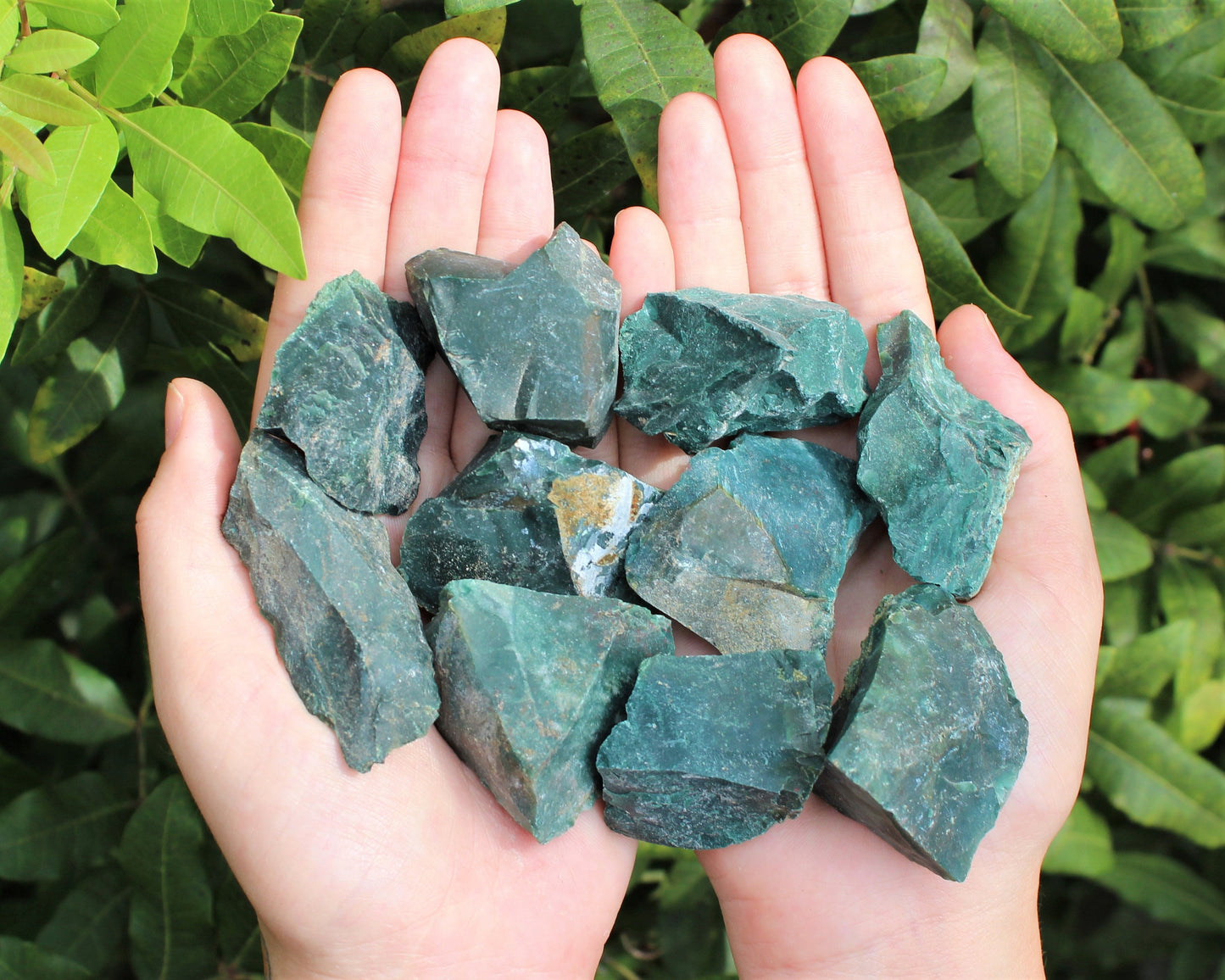 Bloodstone Rough Natural Stones