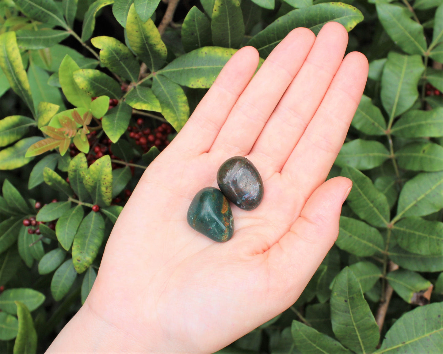 Bloodstone Tumbled Stones