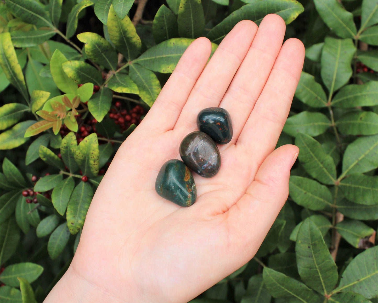 Bloodstone Tumbled Stones