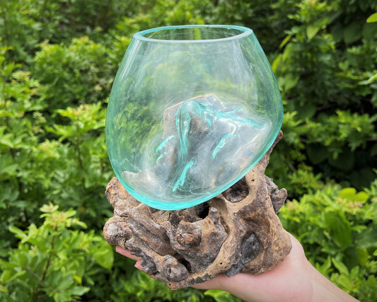 Blown Glass Wood Terrarium