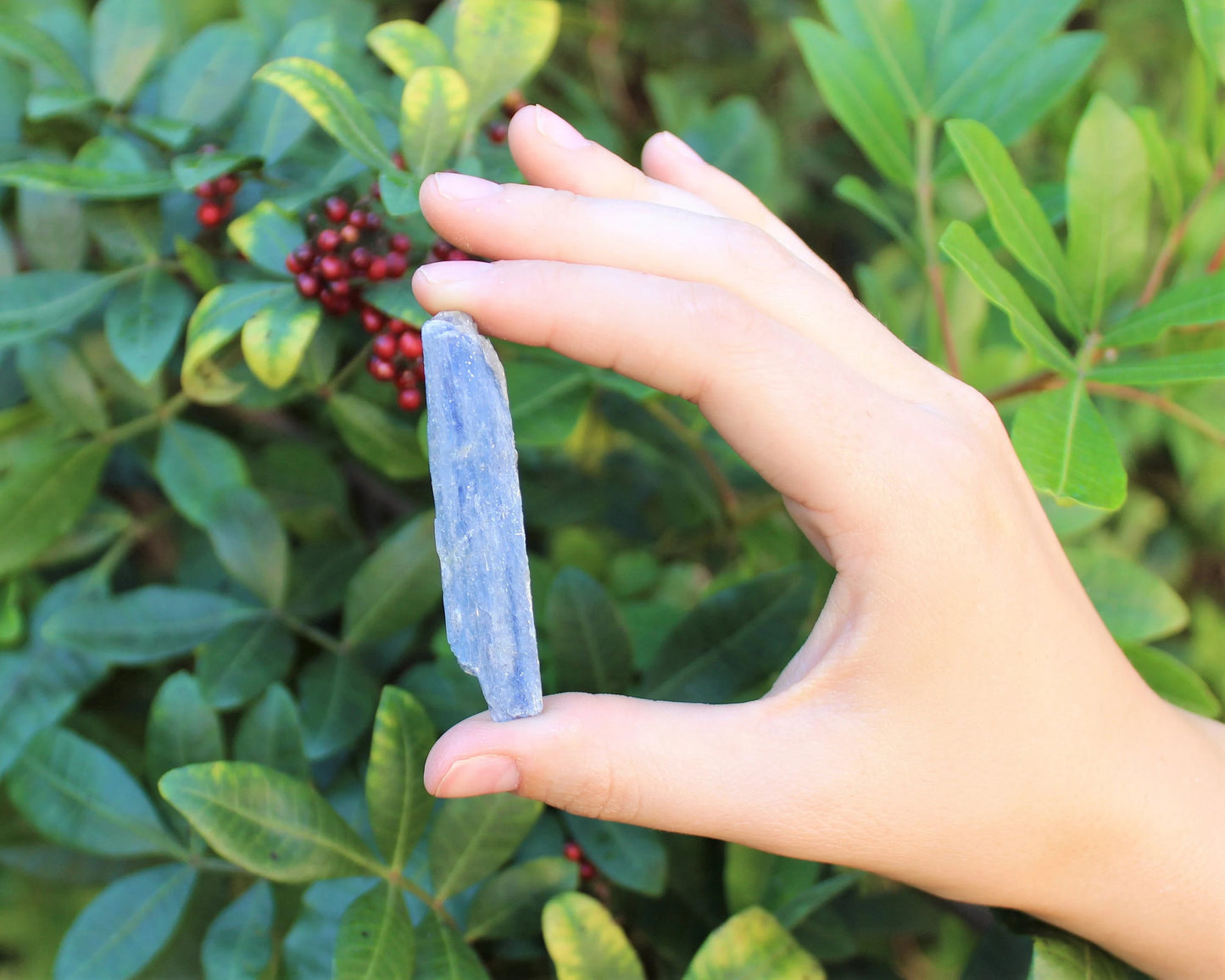 Kyanite Blades And Pieces