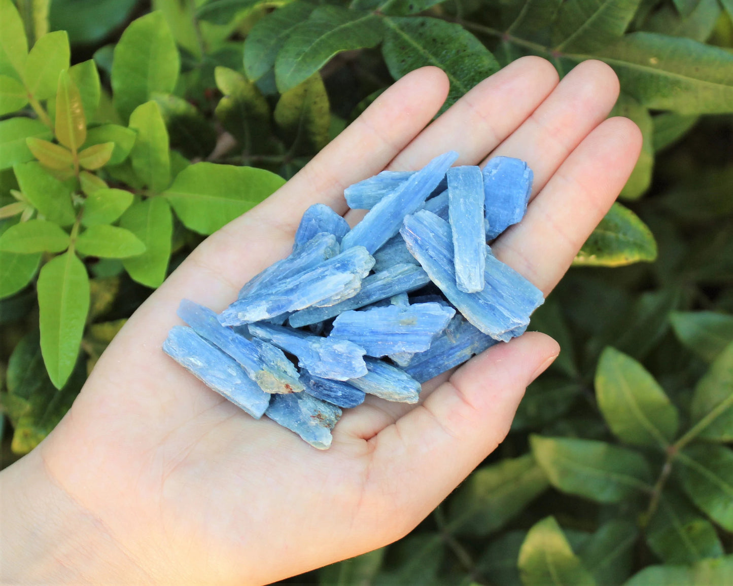 Kyanite Blades And Pieces