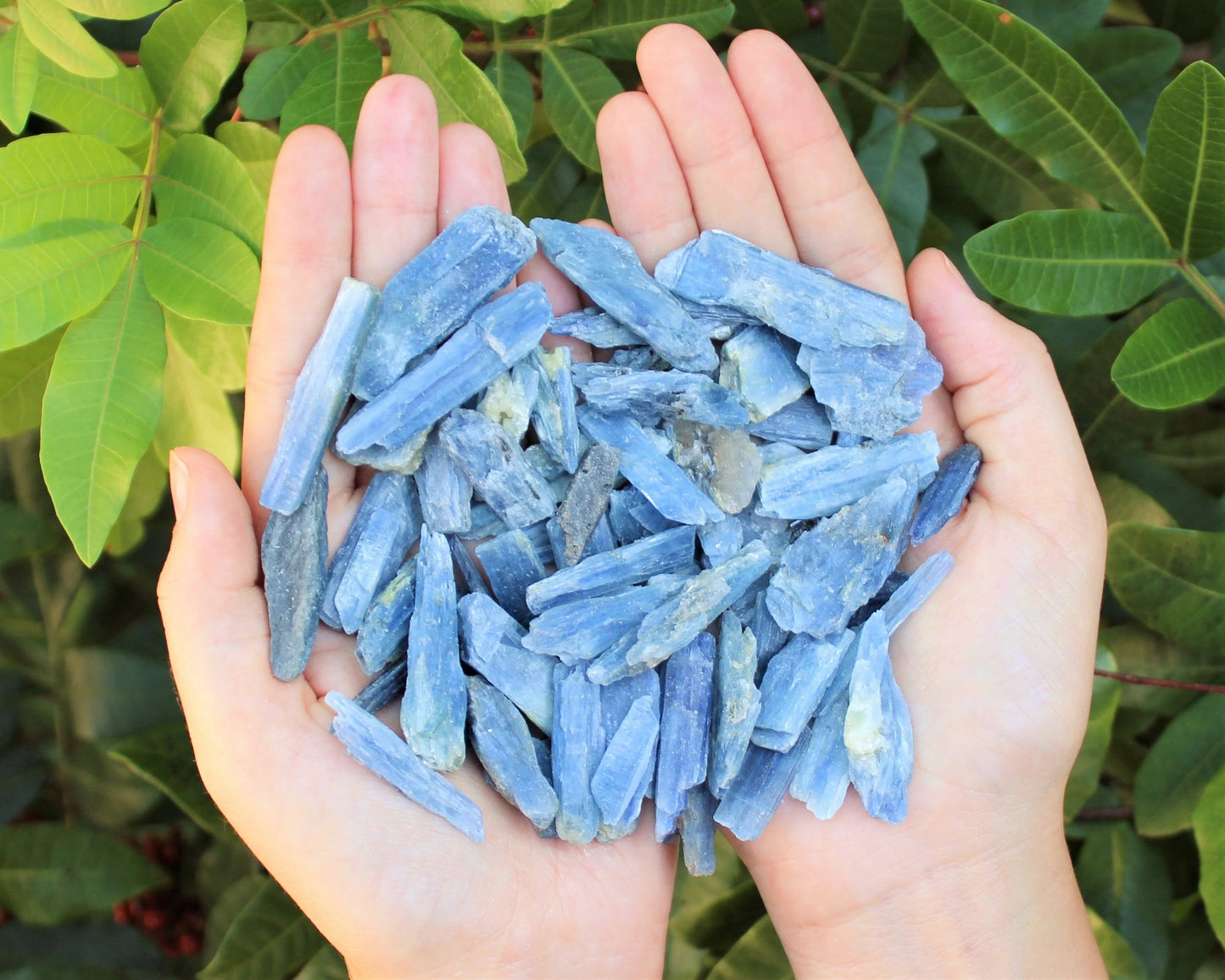 Kyanite Blades And Pieces