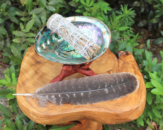 Sage Abalone Shell