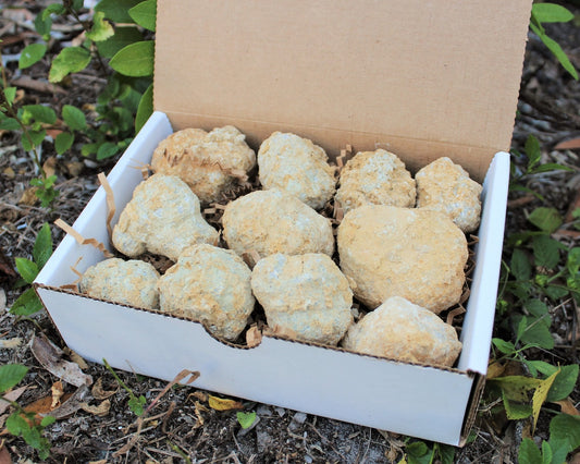 Break Your Own Geodes Gift Box