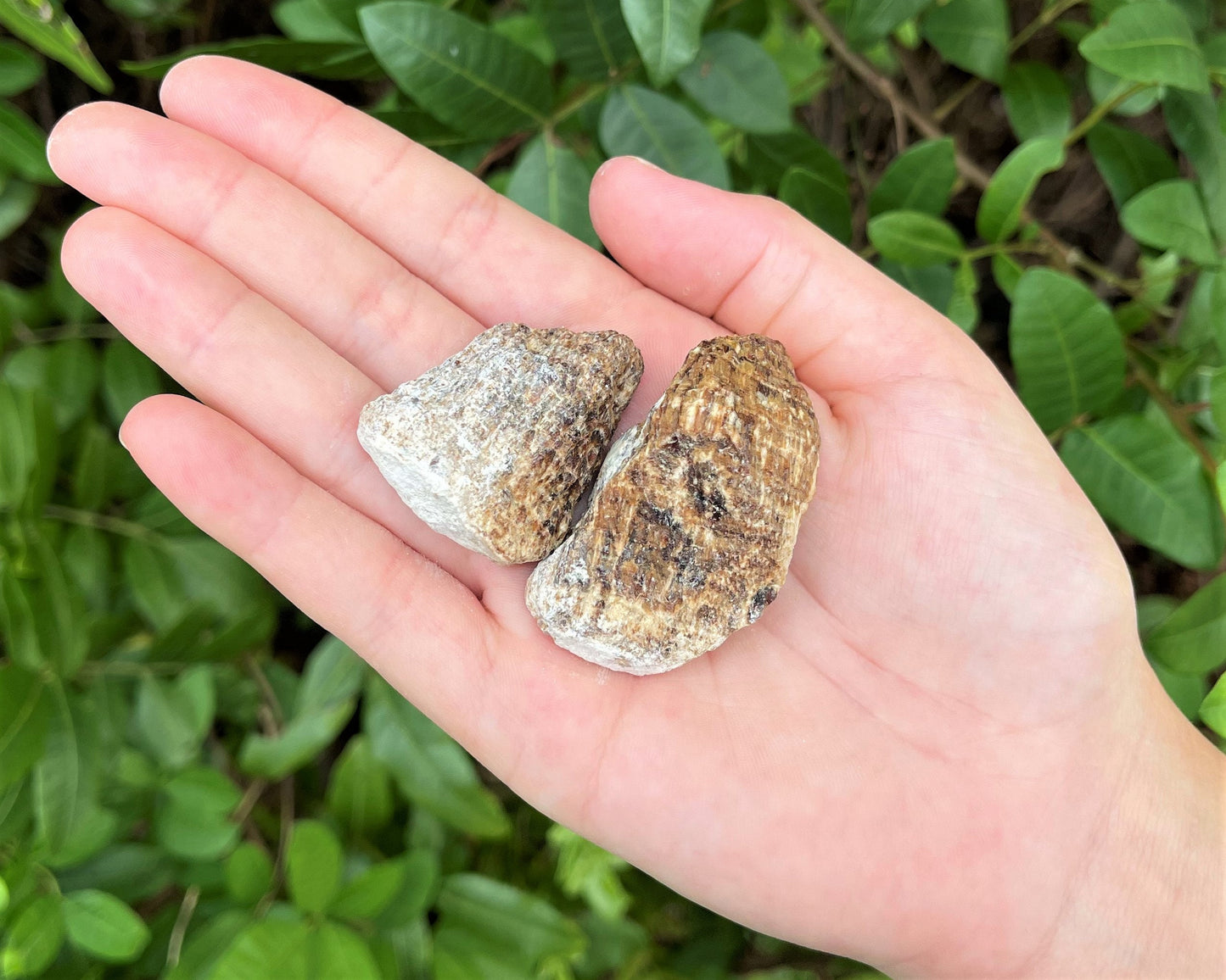 Aragonite Rough Natural Stones