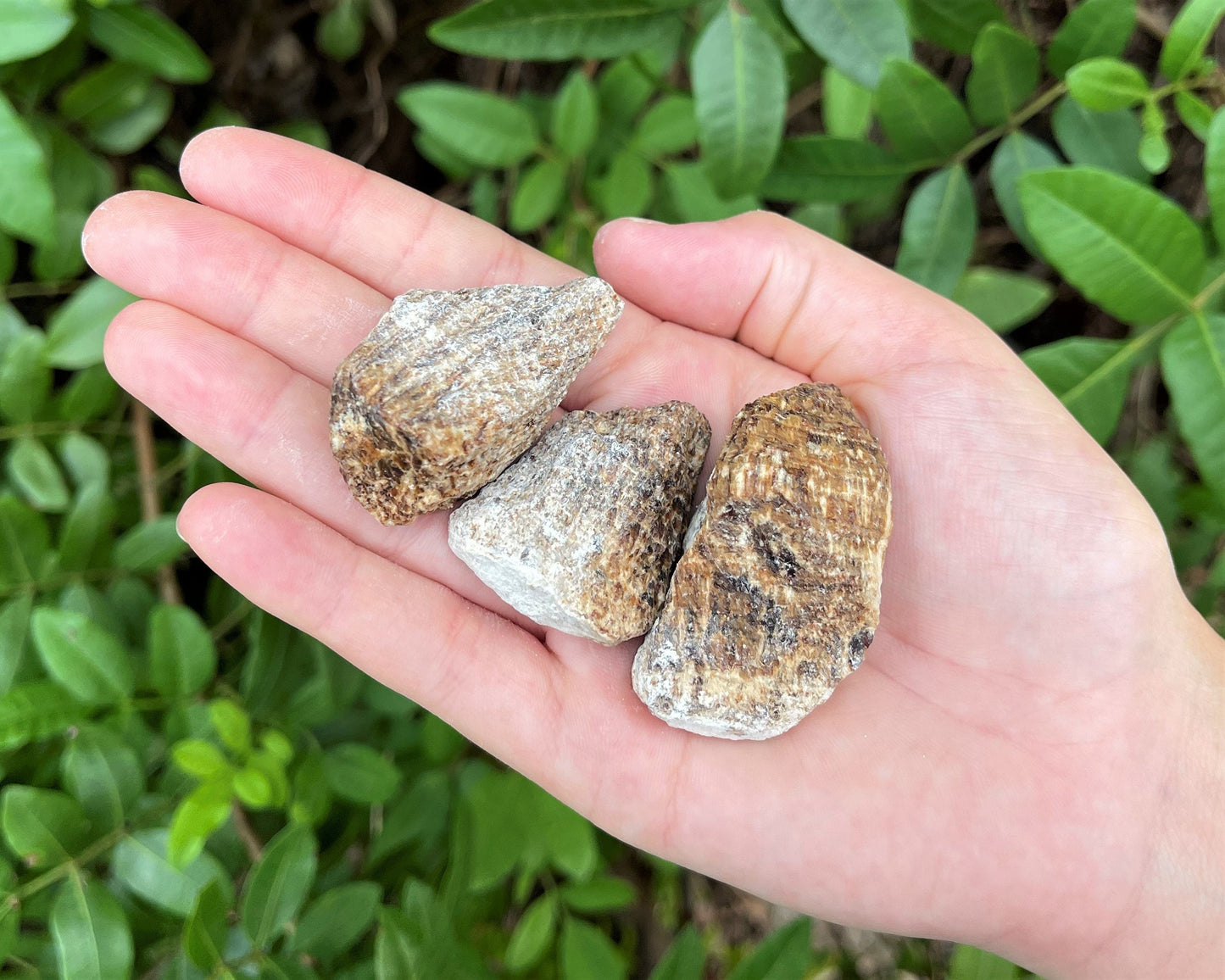 Aragonite Rough Natural Stones