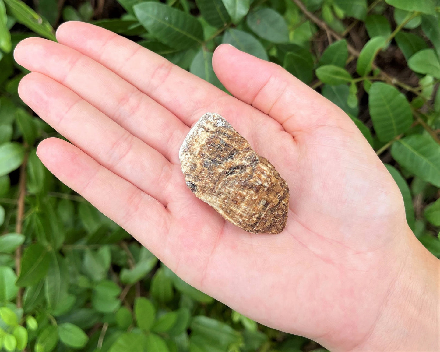 Aragonite Rough Natural Stones