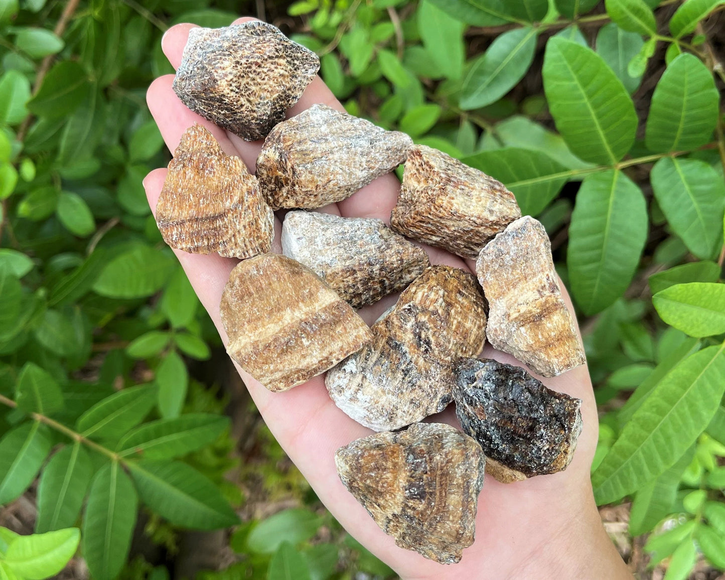 Aragonite Rough Natural Stones