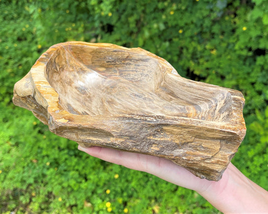 Captivating Petrified Wood Decor Bowl