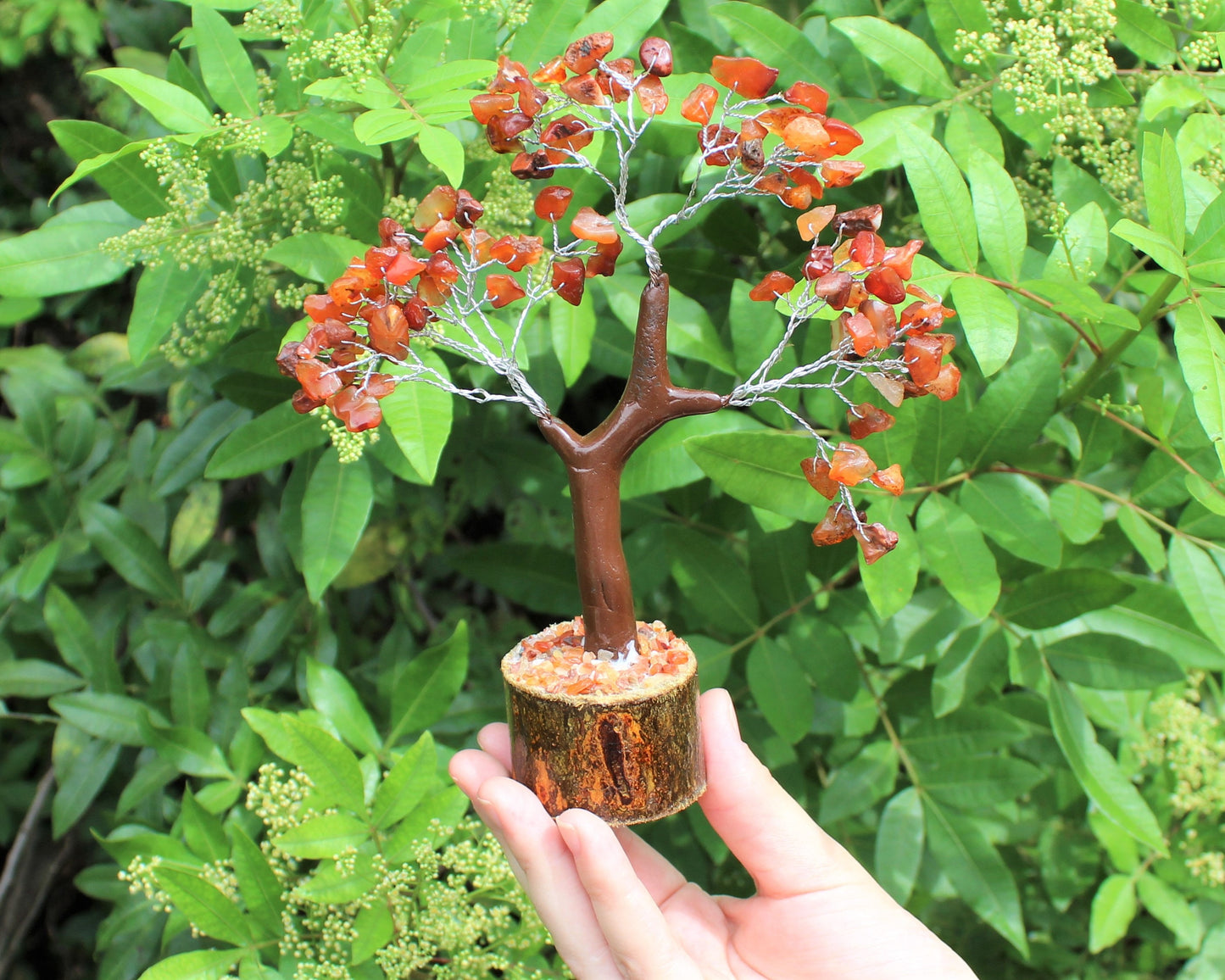 Carnelian Gem Tree With Wood Base