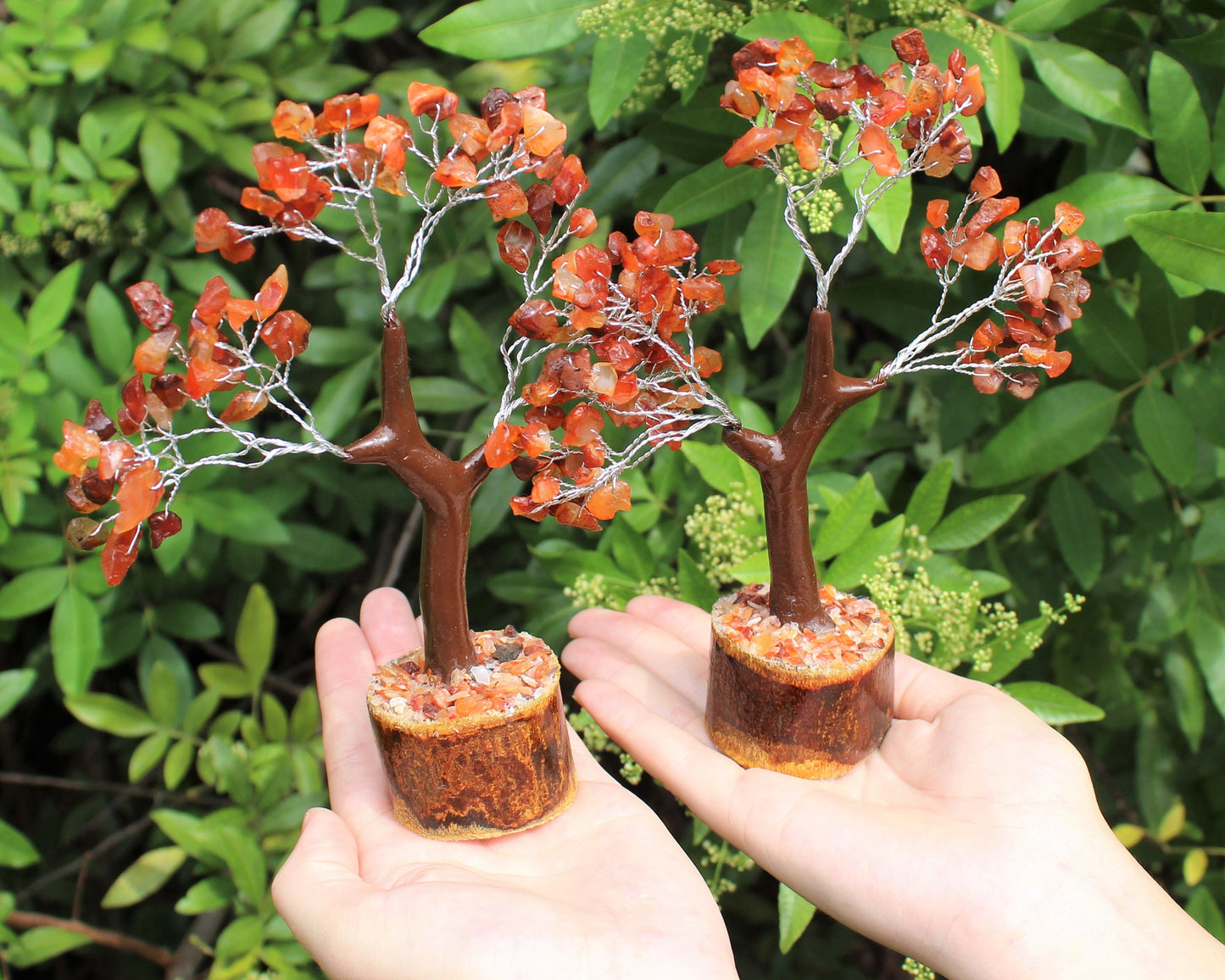 Carnelian Gem Tree With Wood Base