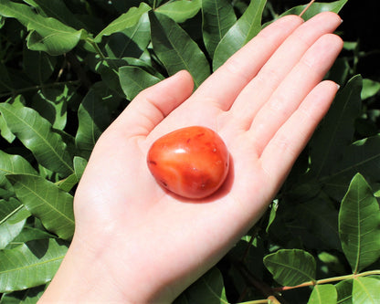 Carnelian Polished Stones