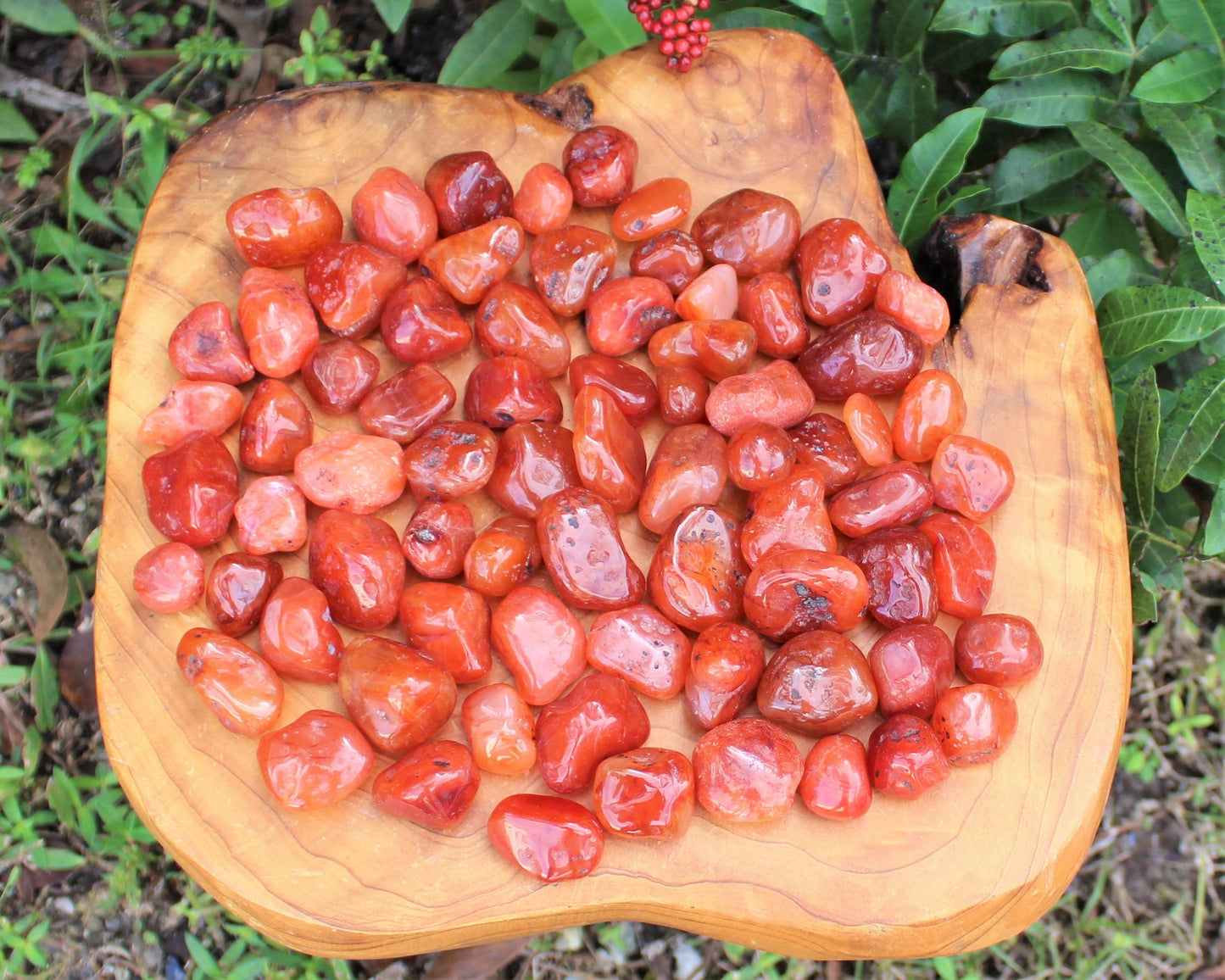 Carnelian Tumbled Stones