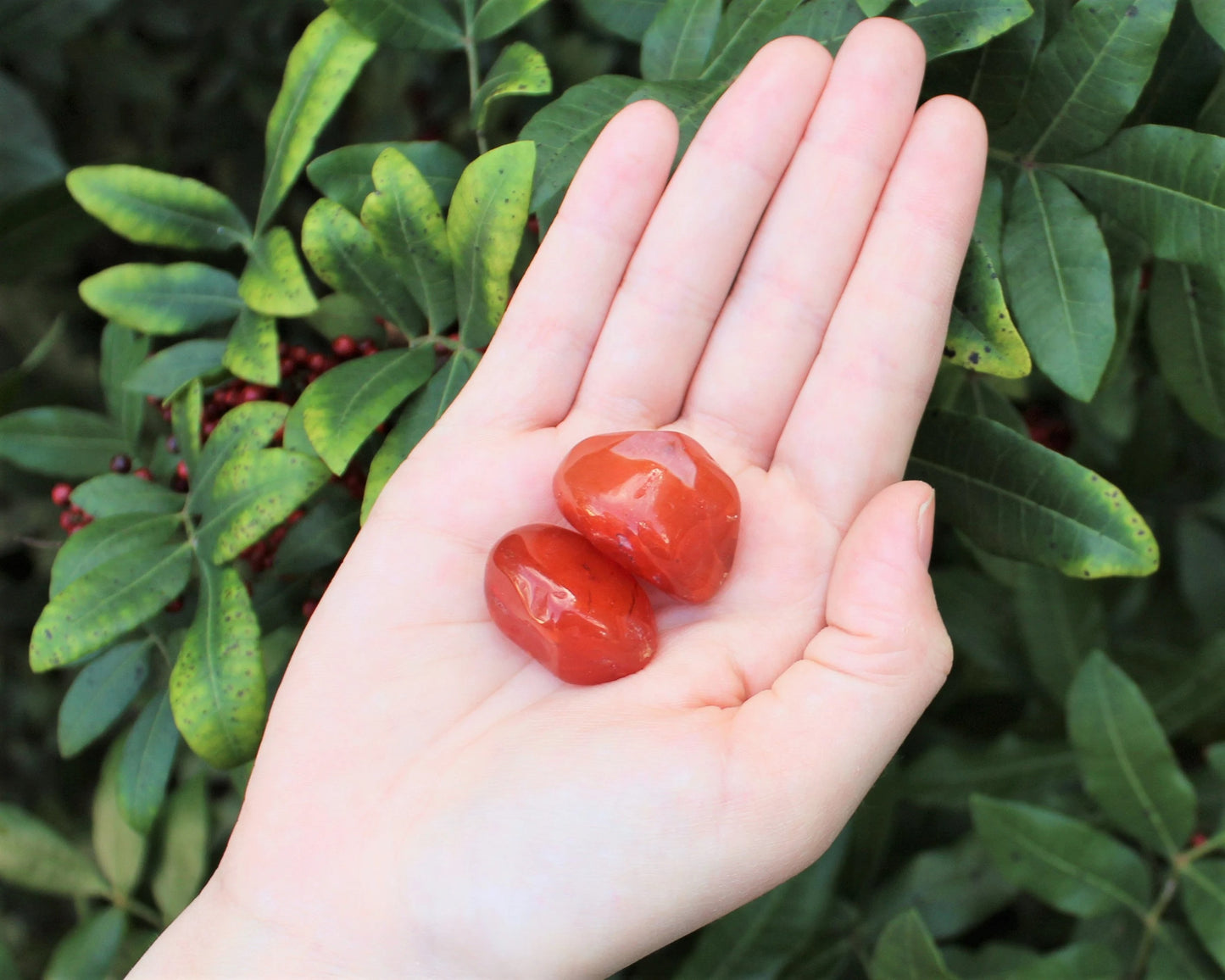 Carnelian Tumbled Stones