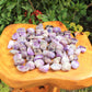 Chevron Amethyst Tumbled Stones