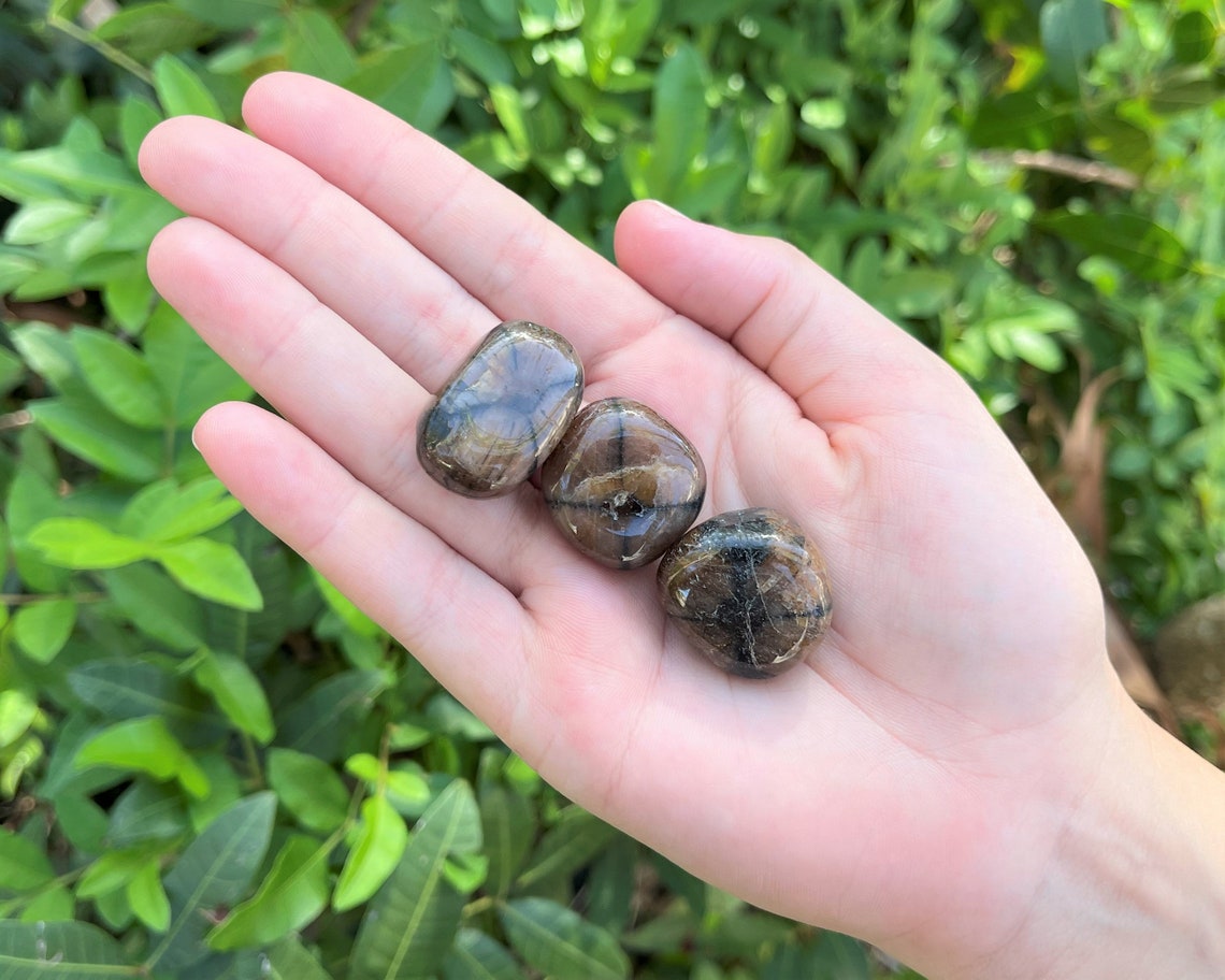 Chiastolite Tumbled Stone