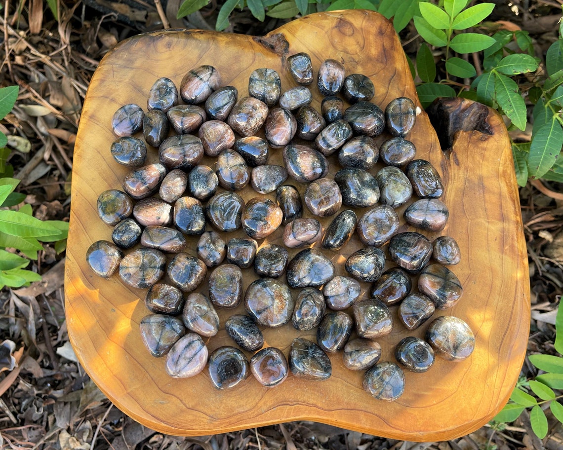 Chiastolite Tumbled Stone