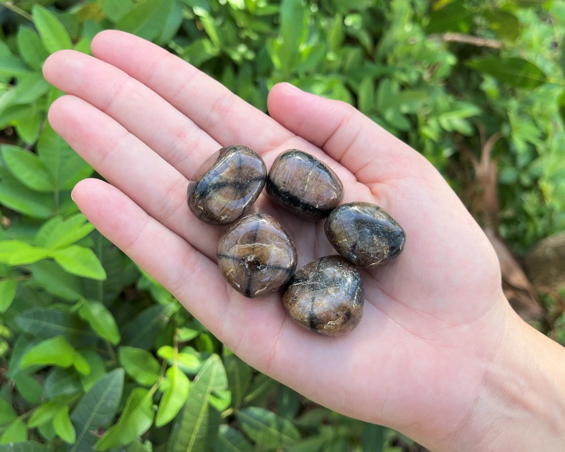 Chiastolite Tumbled Stone