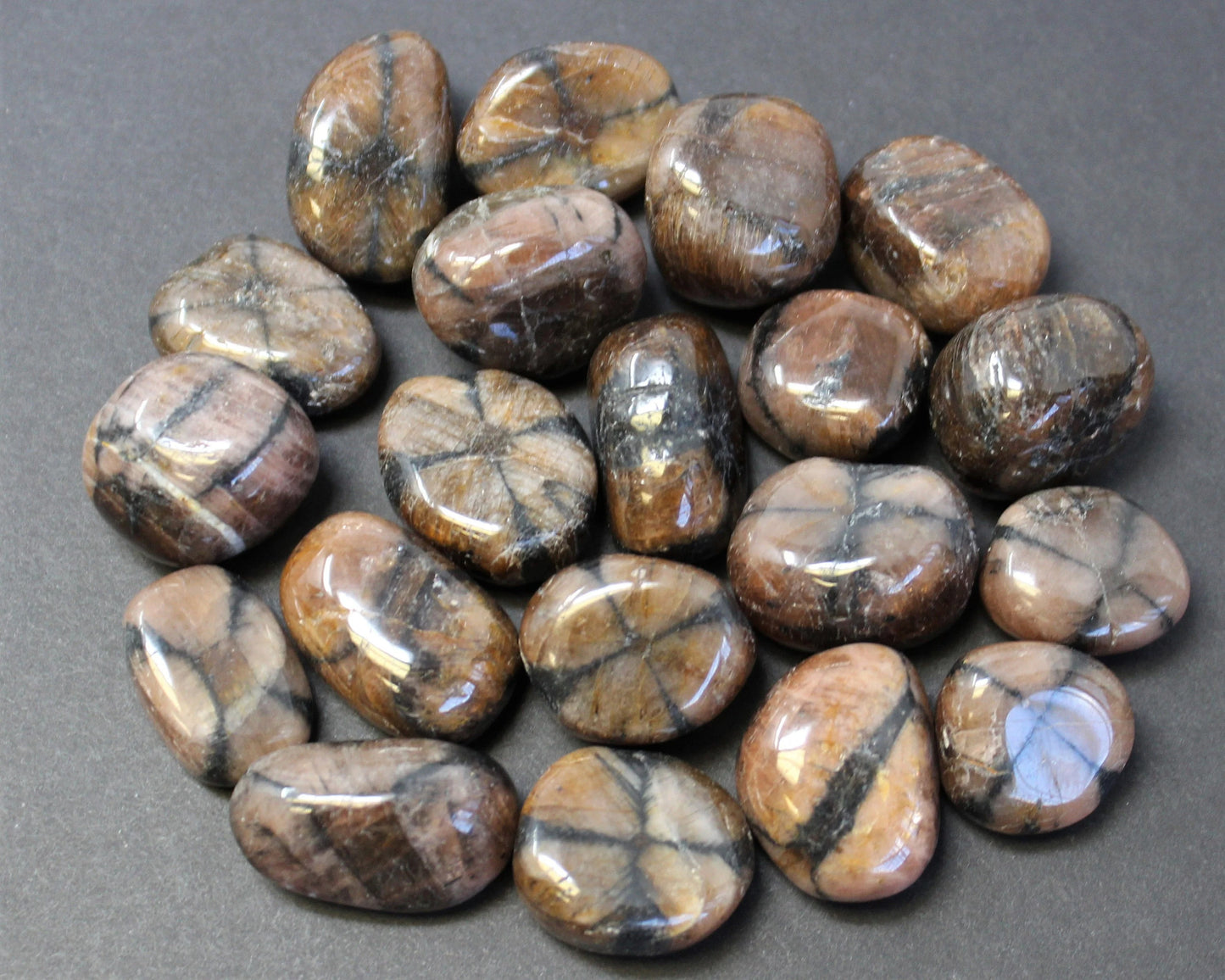 Chiastolite Tumbled Stones