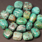 Assorted Design Chrysocolla Tumbled Stones