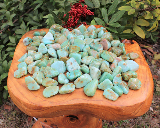 Chrysoprase Tumbled Stones