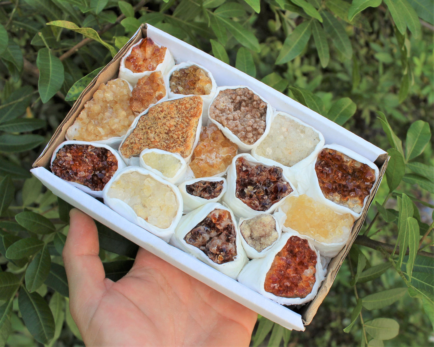 Citrine Crystal Cluster Box