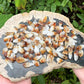 Citrine Points Crystal Collection